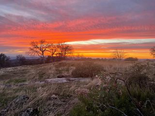 2 Buggy Whip Drive, Coarsegold, CA 93614