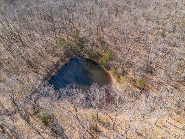 4453 Drury Road, Bloomsdale, MO 63627