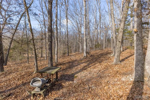 4453 Drury Road, Bloomsdale, MO 63627