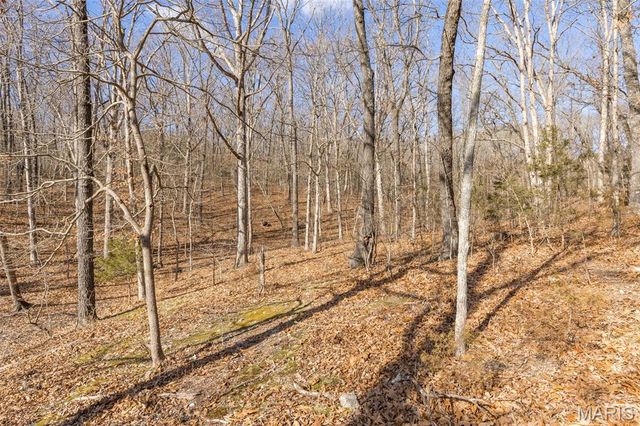 4453 Drury Road, Bloomsdale, MO 63627