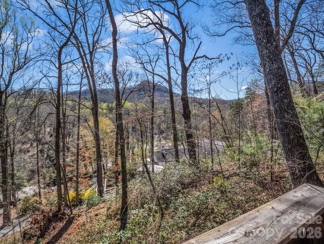 365 Seton Road, Lake Lure, NC 28746