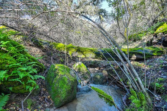 4656 Cosumnes View Trl, Placerville, CA 95667