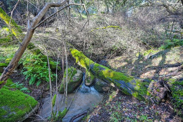 4656 Cosumnes View Trl, Placerville, CA 95667