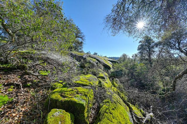 4656 Cosumnes View Trl, Placerville, CA 95667