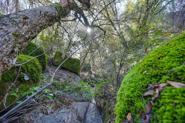 4656 Cosumnes View Trl, Placerville, CA 95667