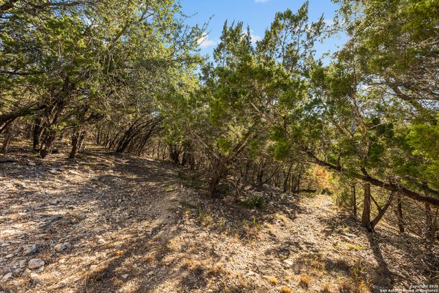 250 Misty Brook, Spring Branch, TX 78070