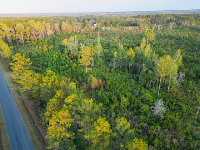 0000 Peniel Road, Walterboro, SC 29488