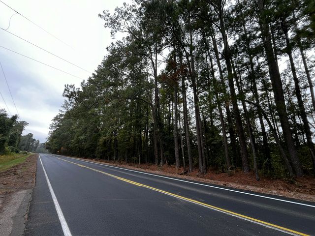 0000 Peniel Road, Walterboro, SC 29488