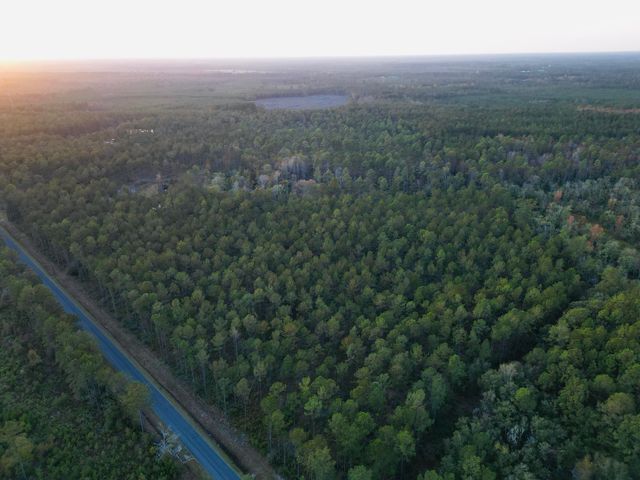 0000 Peniel Road, Walterboro, SC 29488