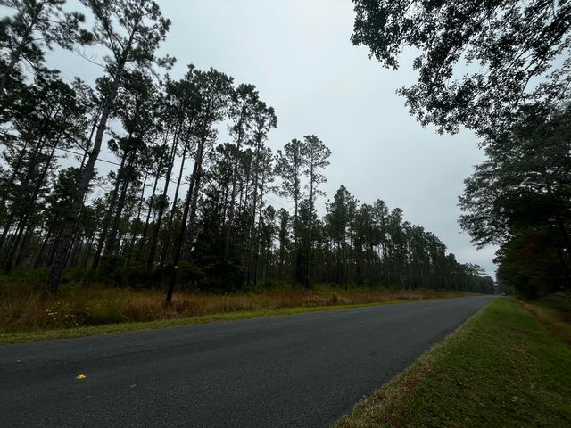 0000 Peniel Road, Walterboro, SC 29488
