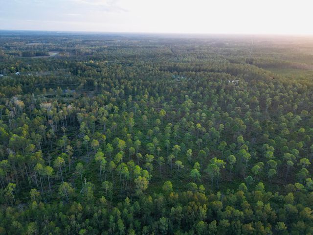 0000 Peniel Road, Walterboro, SC 29488