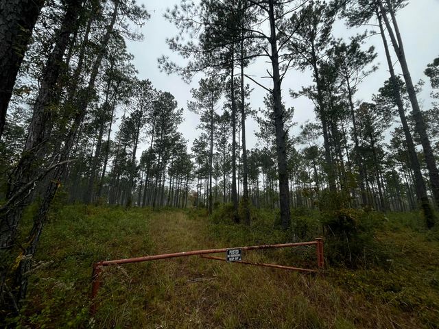 0000 Peniel Road, Walterboro, SC 29488