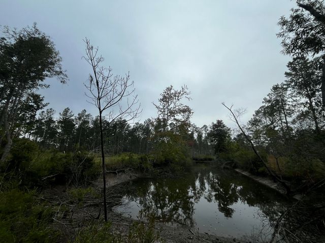 0000 Peniel Road, Walterboro, SC 29488