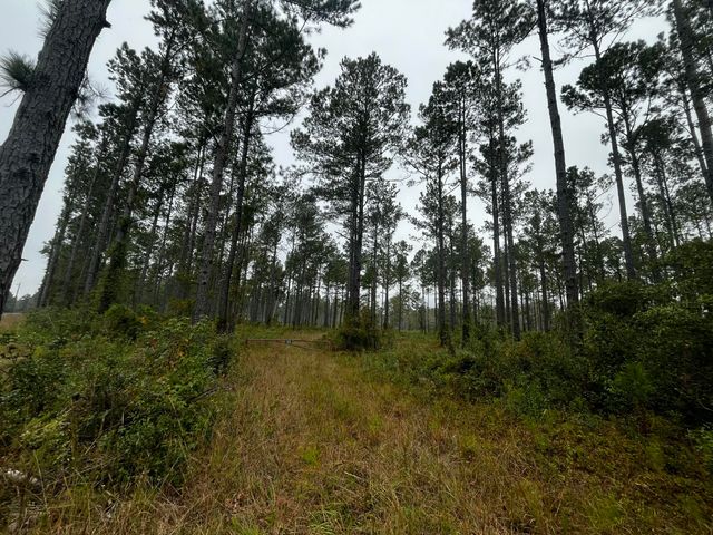 0000 Peniel Road, Walterboro, SC 29488