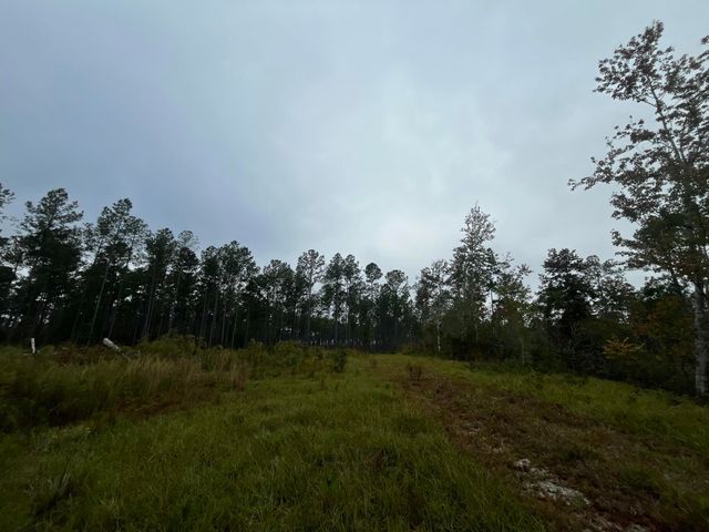 0000 Peniel Road, Walterboro, SC 29488