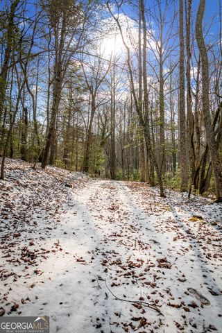 102 Captains Cove, Blairsville, GA 30512