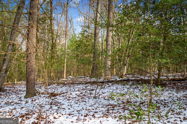 102 Captains Cove, Blairsville, GA 30512