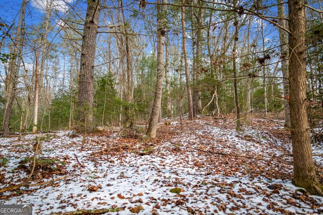 102 Captains Cove, Blairsville, GA 30512