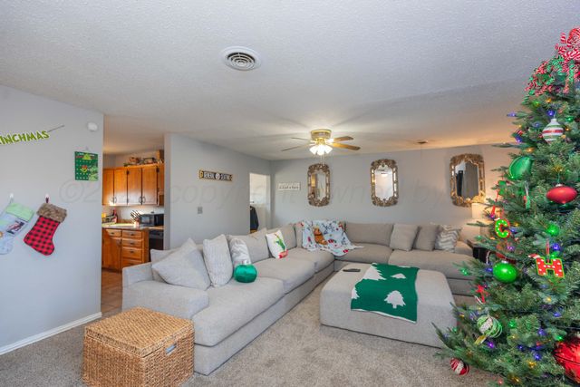 1208 PECAN Street, Amarillo, TX 79107