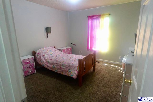 292 Ella Henry Circle, Timmonsville, SC 29161