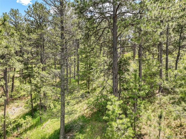 1180 Lone Scout Lookout, Monument, CO 80132