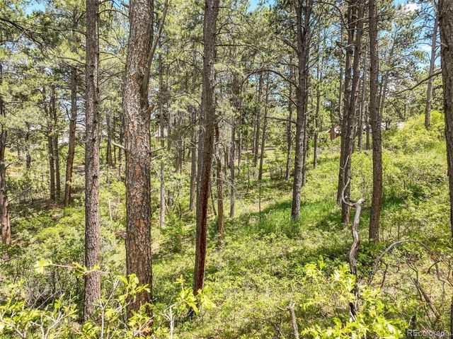 1180 Lone Scout Lookout, Monument, CO 80132