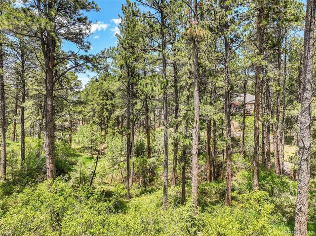 1180 Lone Scout Lookout, Monument, CO 80132