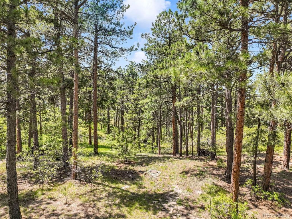 1180 Lone Scout Lookout, Monument, CO 80132