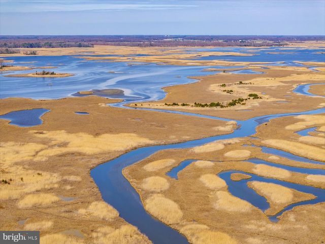 111 LOUISIANA, Milton, DE 19968