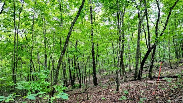 Trt B Cascade Drive, Jasper, GA 30143