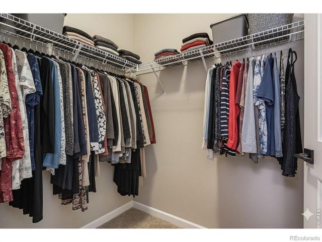 1003 Schlagel Street 7, Fort Collins, CO 80524