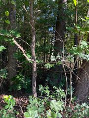 KIRTLEY TRL, Culpeper, VA 22701