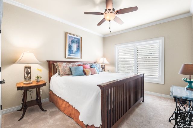 1728 Chardonnay, New Braunfels, TX 78132