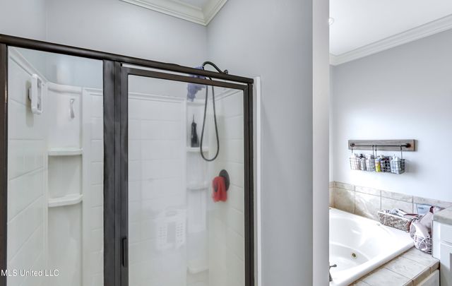 717 Chambord Drive, Brandon, MS 39042