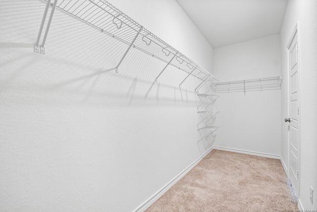 11608 Red Burro, San Antonio, TX 78254