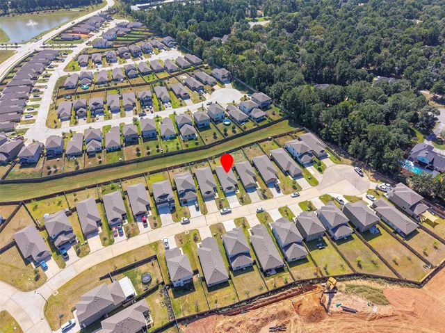 635 Levine Court, Montgomery, TX 77316