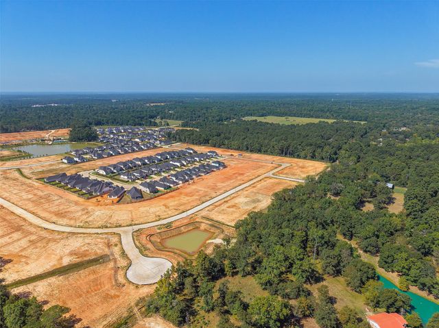 635 Levine Court, Montgomery, TX 77316