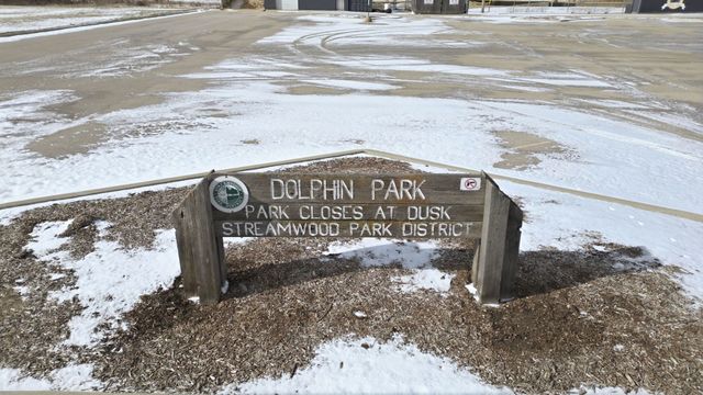 733 Oriole Drive, Streamwood, IL 60107