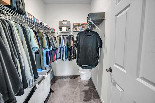24401 SUNNYS HALO WAY, Sorrento, FL 32776