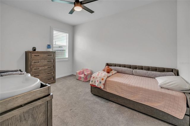 24401 SUNNYS HALO WAY, Sorrento, FL 32776