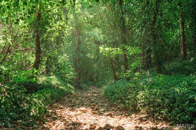 218 S King Street, Lebanon, MO 65536