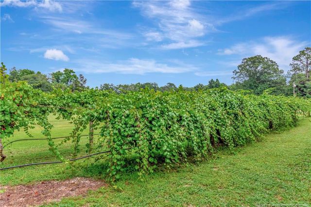 1004 Iona Street, Fairmont, NC 28340