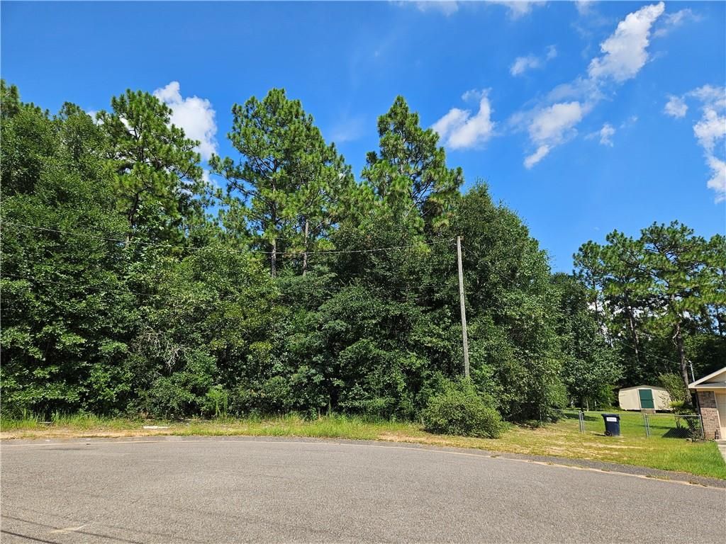 0 Richard Lane, Eight Mile, AL 36613 — photo 2