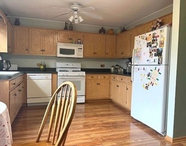 1005 Singer Avenue, Lemont, IL 60439