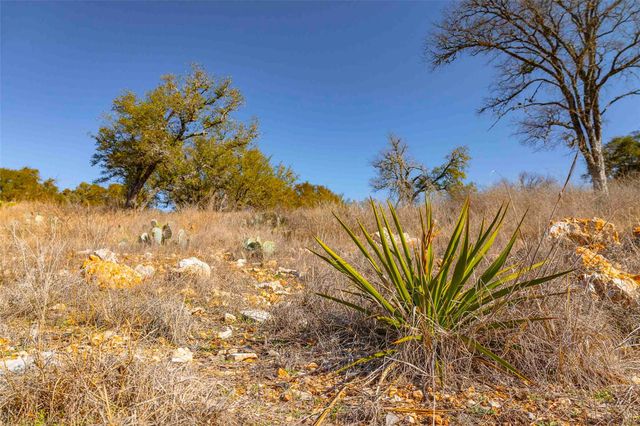 000 River PL, Johnson City, TX 78636