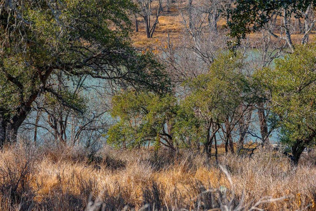 000 River PL, Johnson City, TX 78636