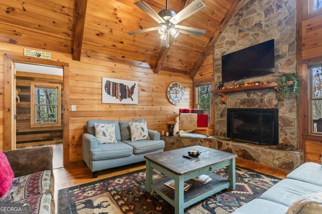 162 Little Falls Drive, Mineral Bluff, GA 30559