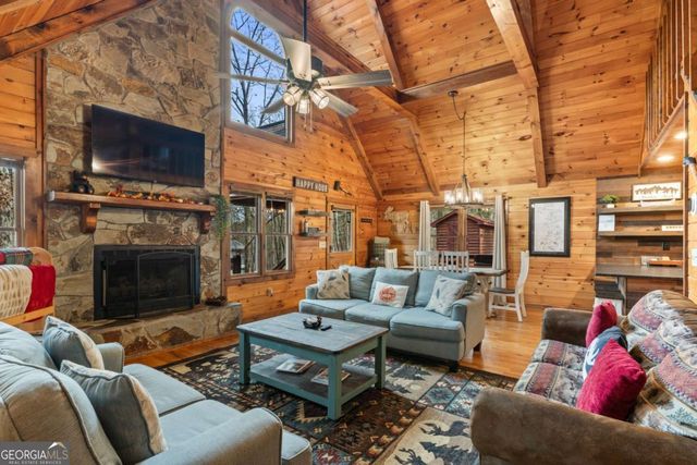 162 Little Falls Drive, Mineral Bluff, GA 30559