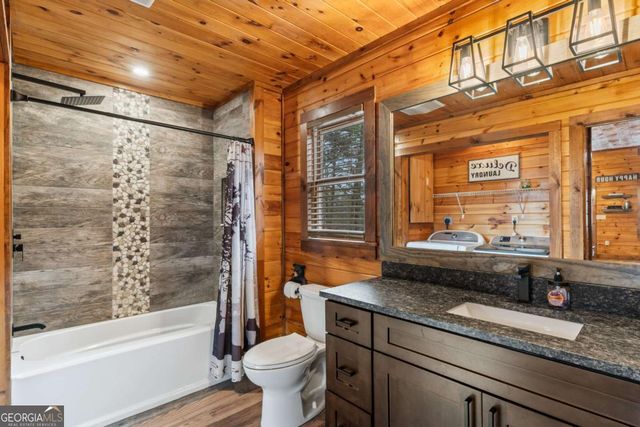 162 Little Falls Drive, Mineral Bluff, GA 30559