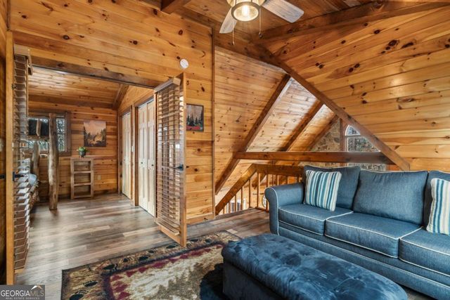 162 Little Falls Drive, Mineral Bluff, GA 30559